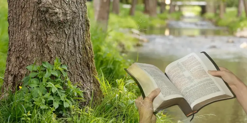 Quem Escreveu o Salmo 1 estudo por Rodrigo Silva | Evangelho no Lar O que o Salmo 1 quer nos dizer?
quem escreveu o salmo 1 rodrigo-silva-curso-biblico-curso-a-biblia-comentada-rodrigo-silva