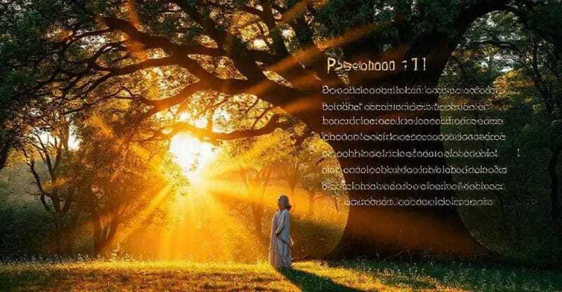 Como Aplicar Salmos 91 na Sua Vida Diária Como Aplicar Salmos 91 na Sua Vida Diária